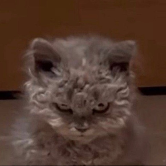 Meet your Posher, Brian - Picture 1 of 1